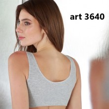 ART 3640