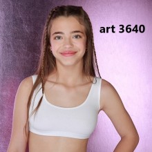 ART 3640