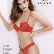 ART 2980